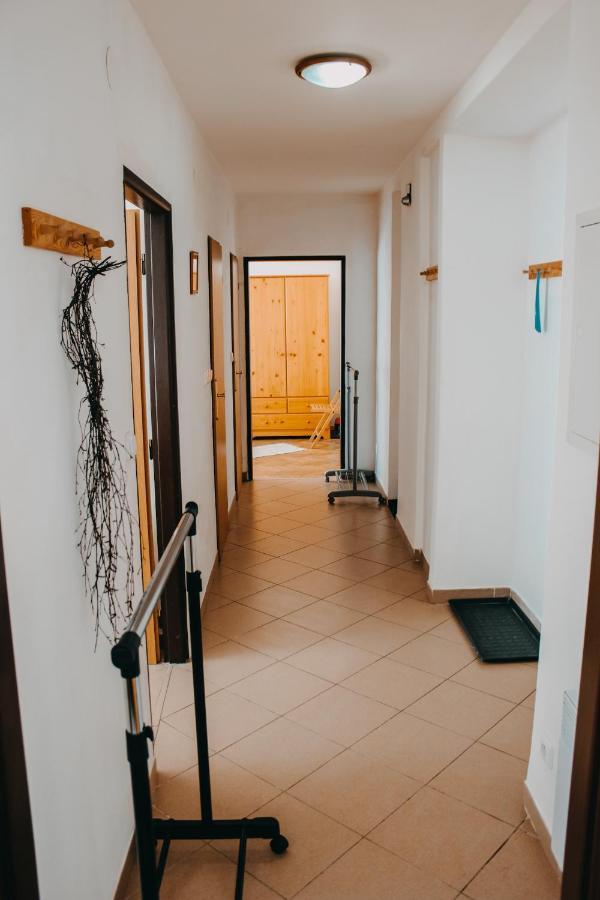 Apartman Rokytnice Nad Jizerouアパートメント エクステリア 写真